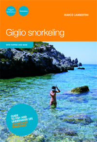 Giglio