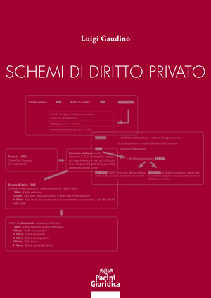 Schemi Di Diritto Privato Pacini Editore