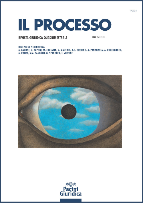 IL PROCESSO